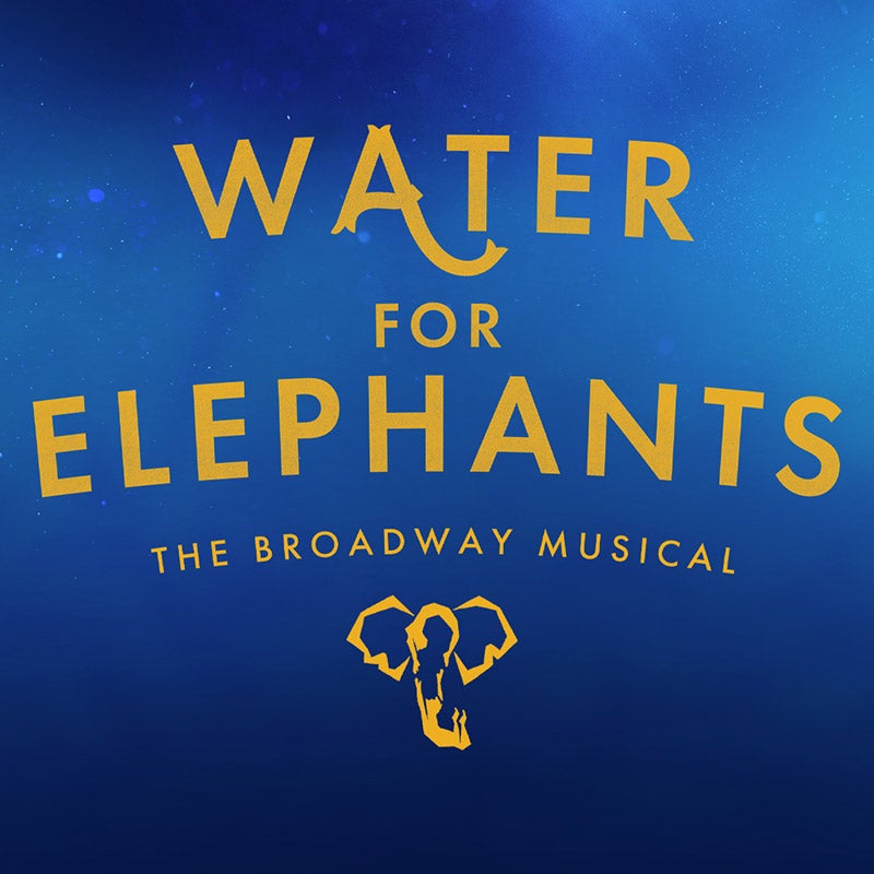 Water for Elephants poster image